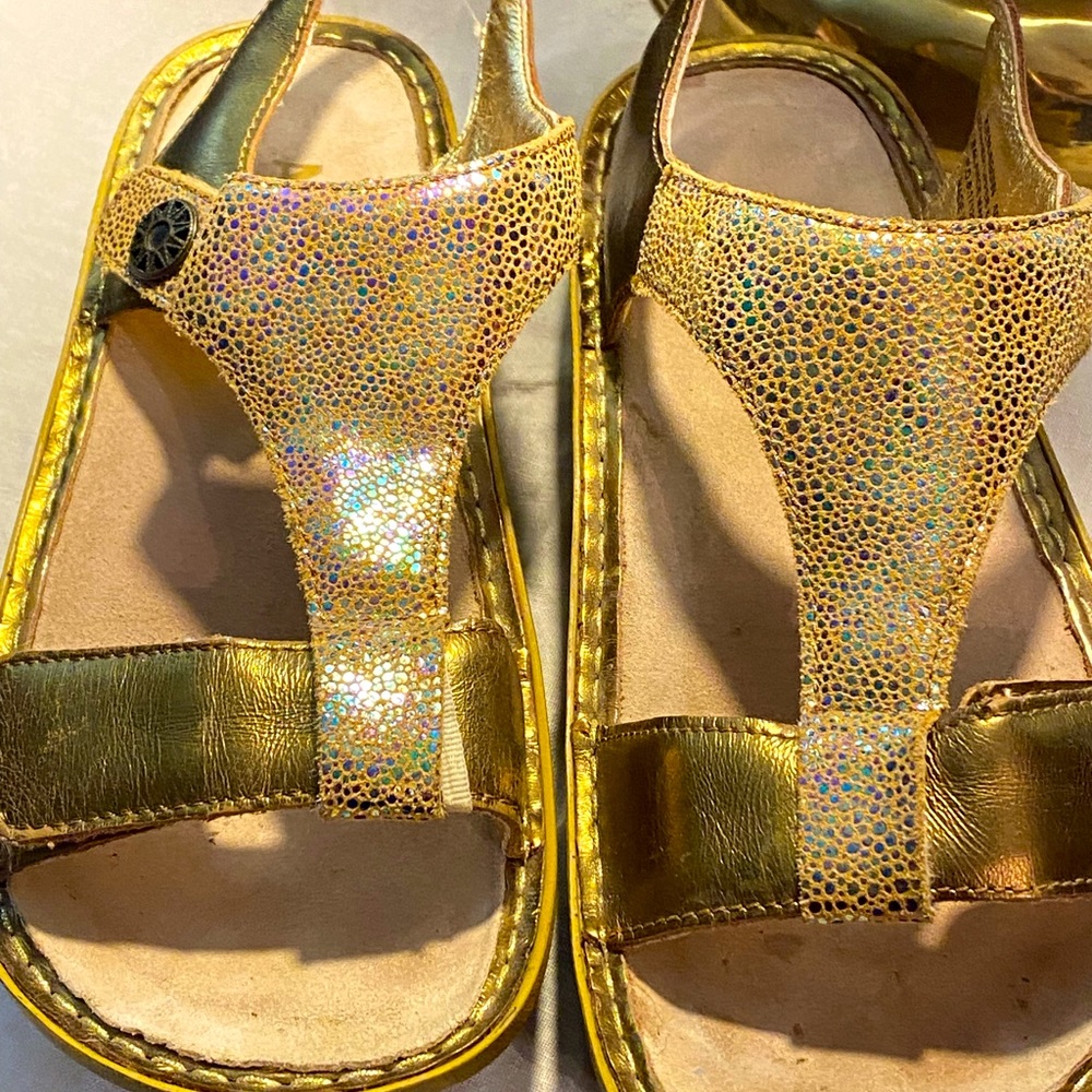 Algeria Metallic Small Wedge Sandals, Size 40